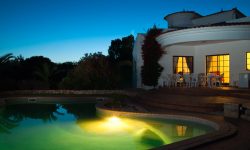 Etiam commodo convallis